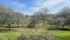 IMG_4332 (FILEminimizer).jpeg